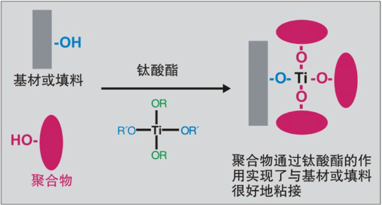 图片一